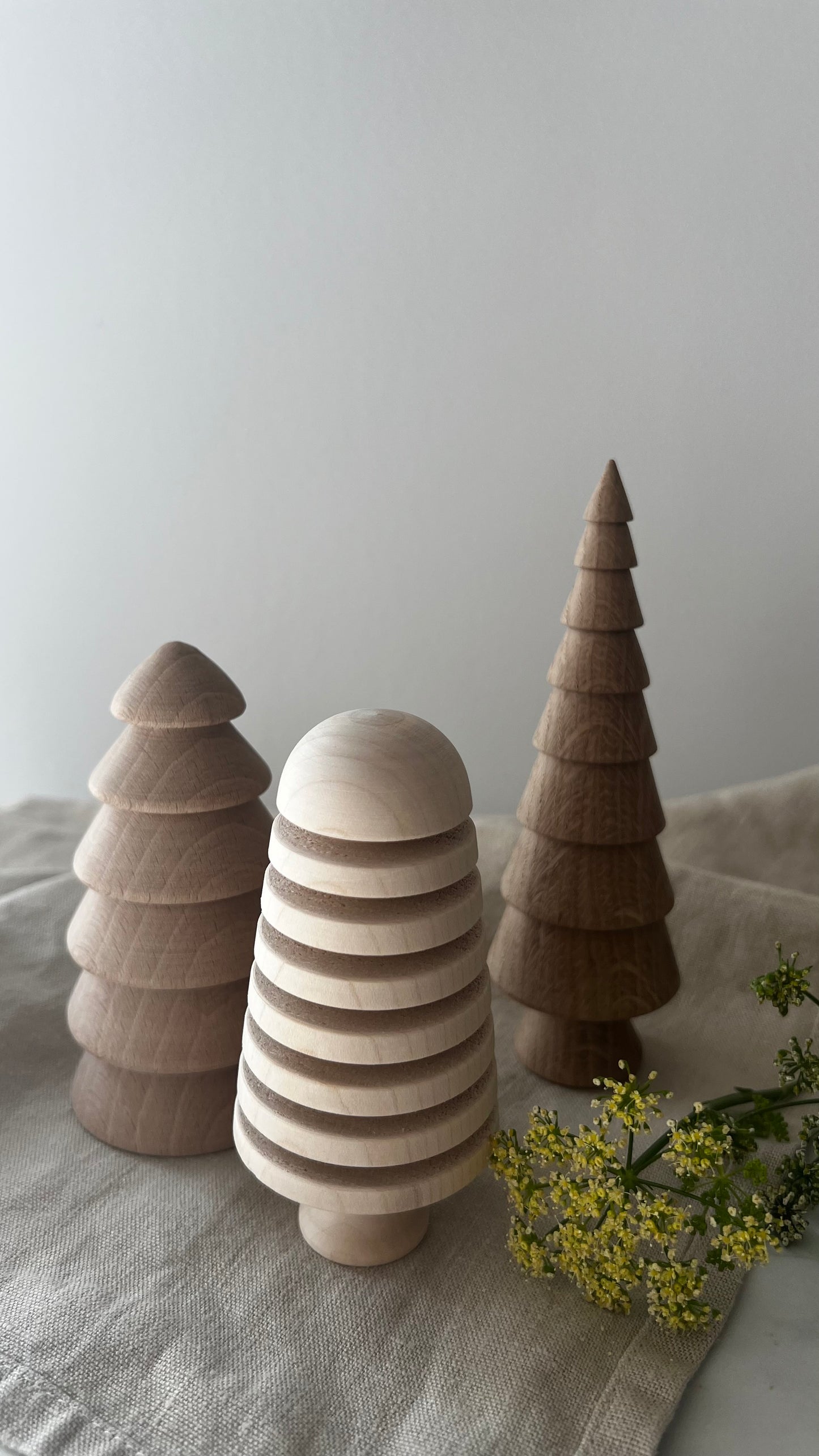 COSY SEASON TREES