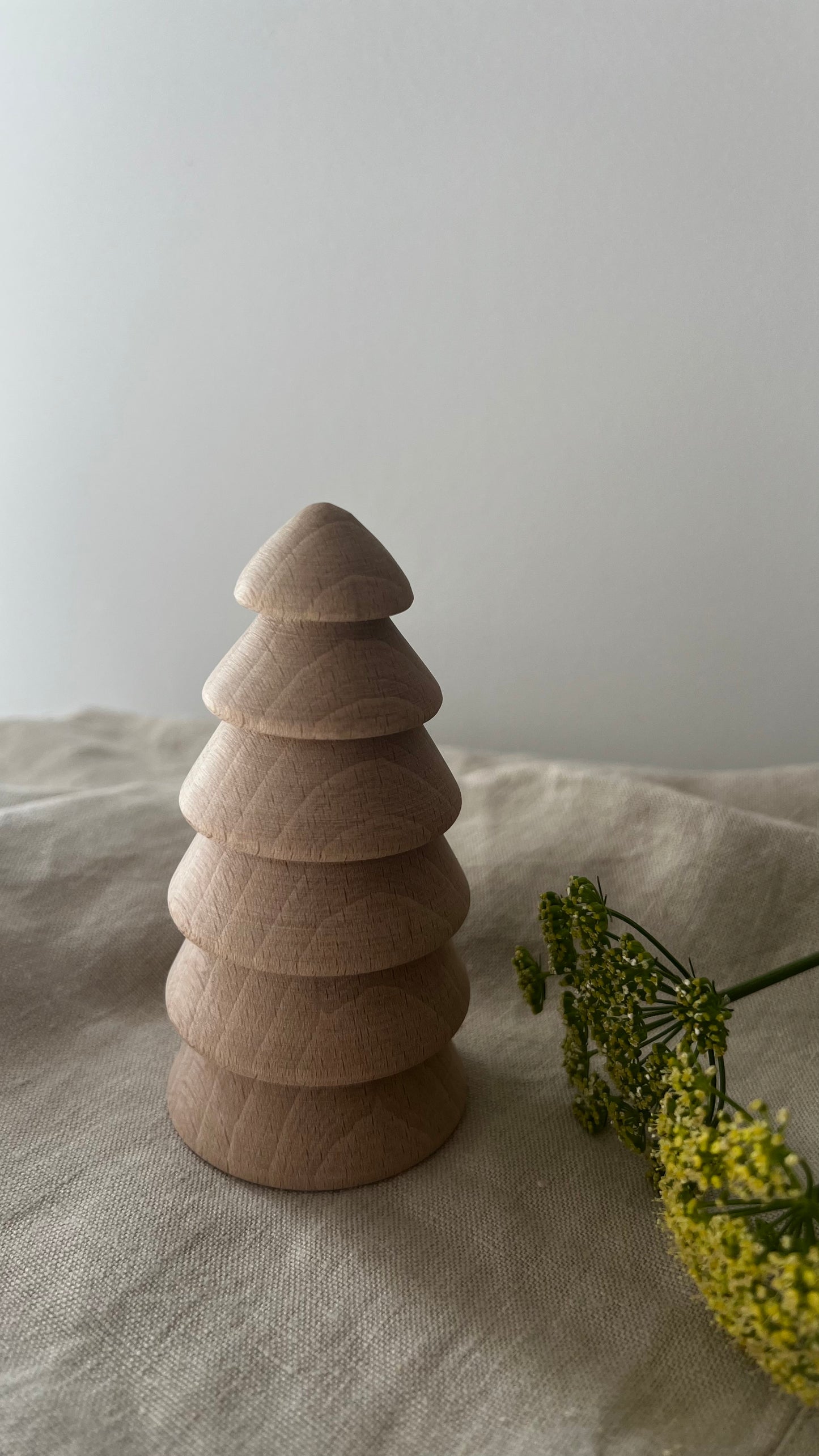 COSY SEASON TREES