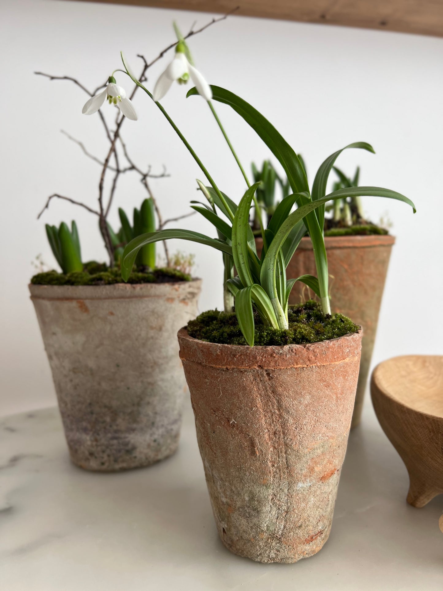 FARMHOUSE STYLE TERRACOTTA POT