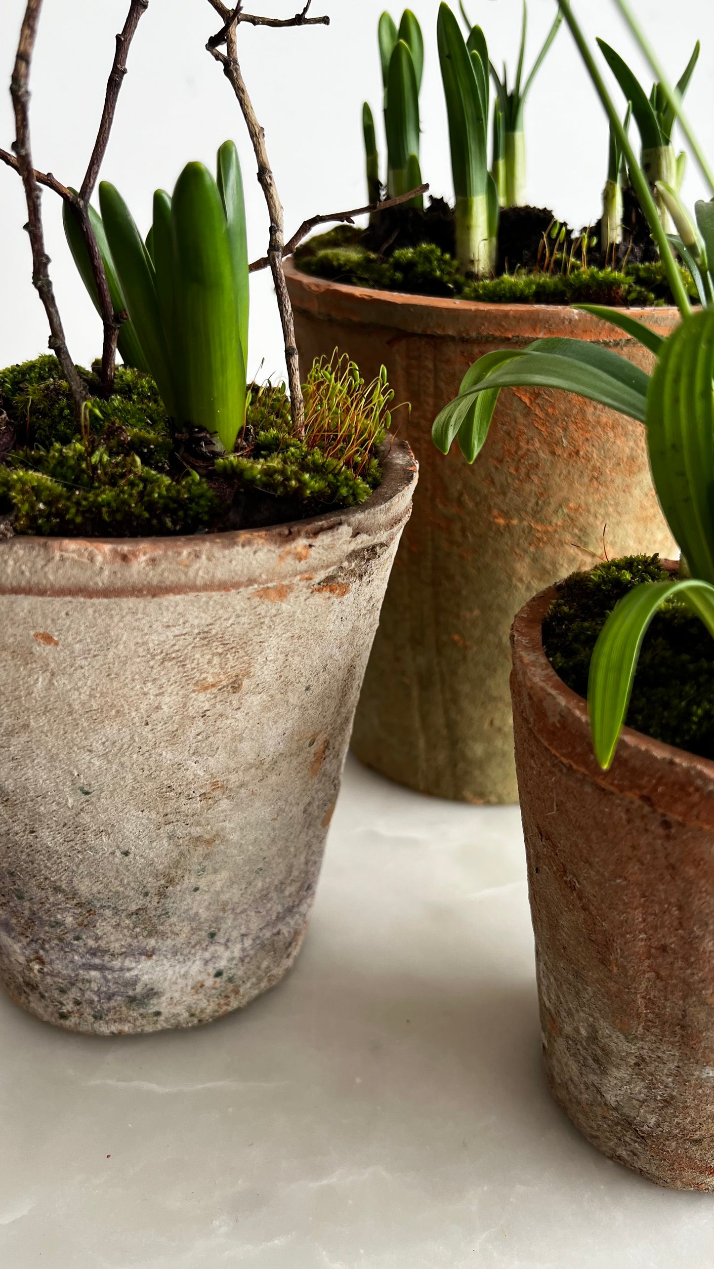 FARMHOUSE STYLE TERRACOTTA POT