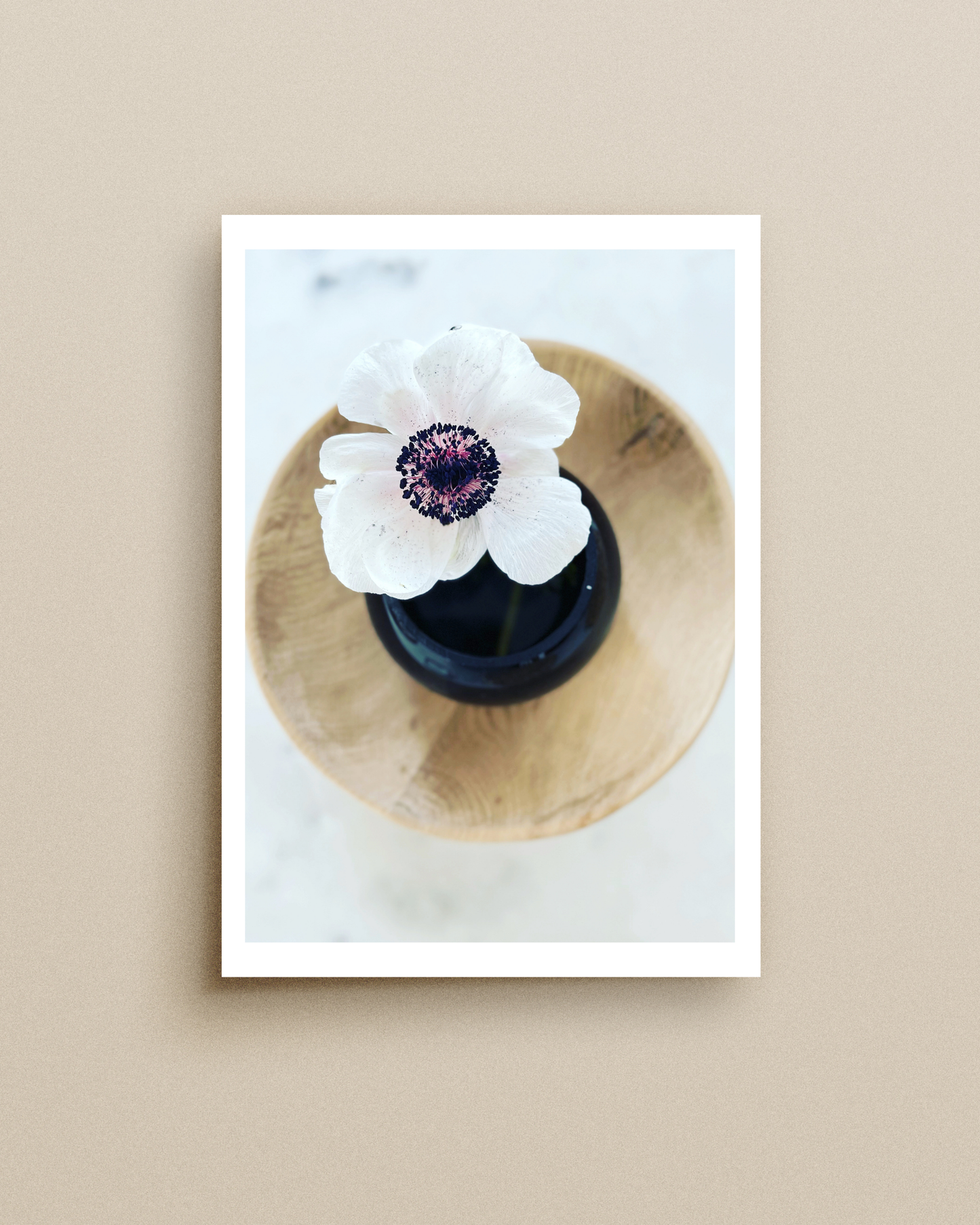 White Anemone in Black Vase Print