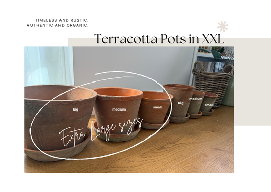 EXTRA LARGE Terracotta Pots