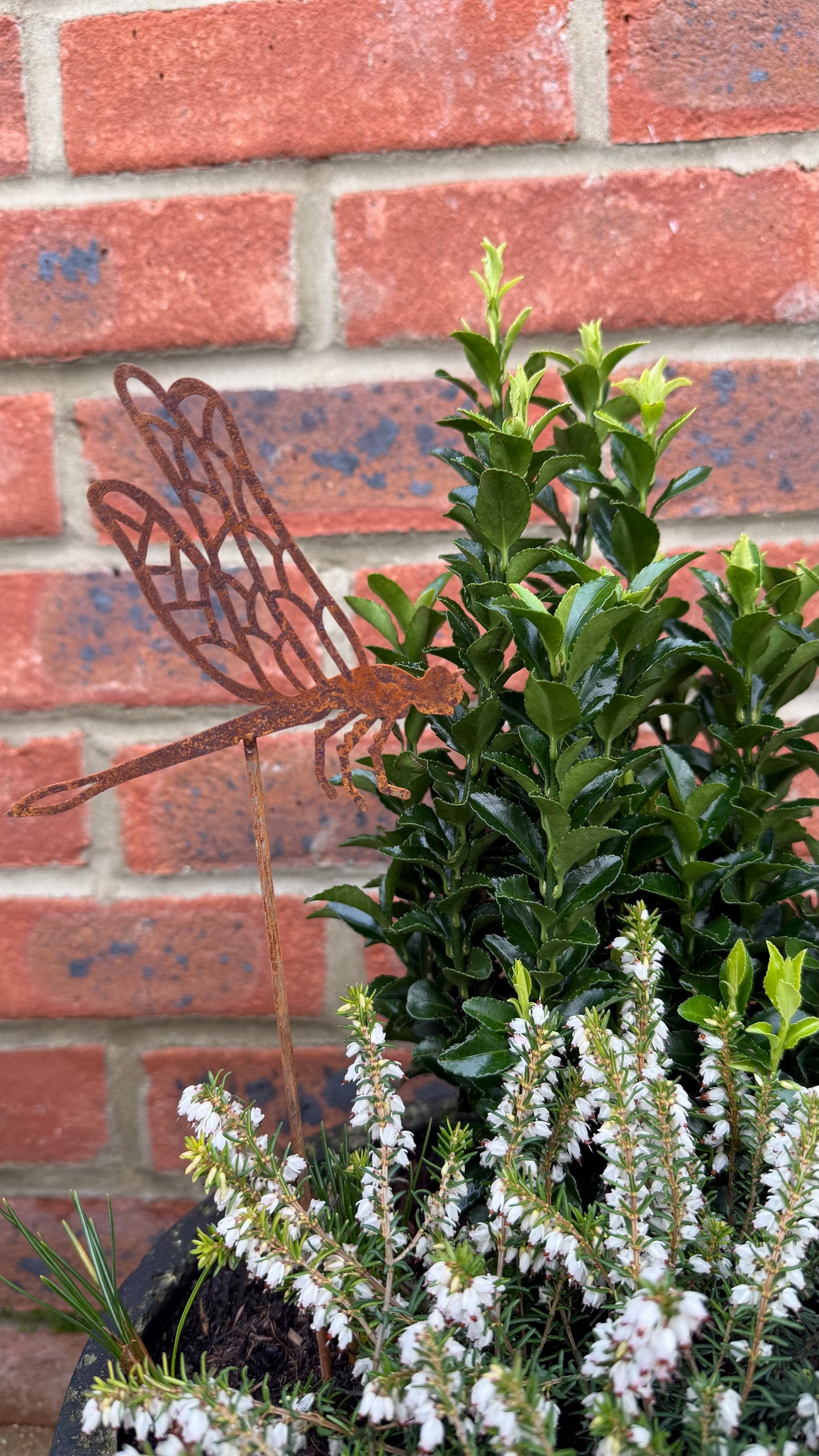 Rust Dragonfly Garden Stick