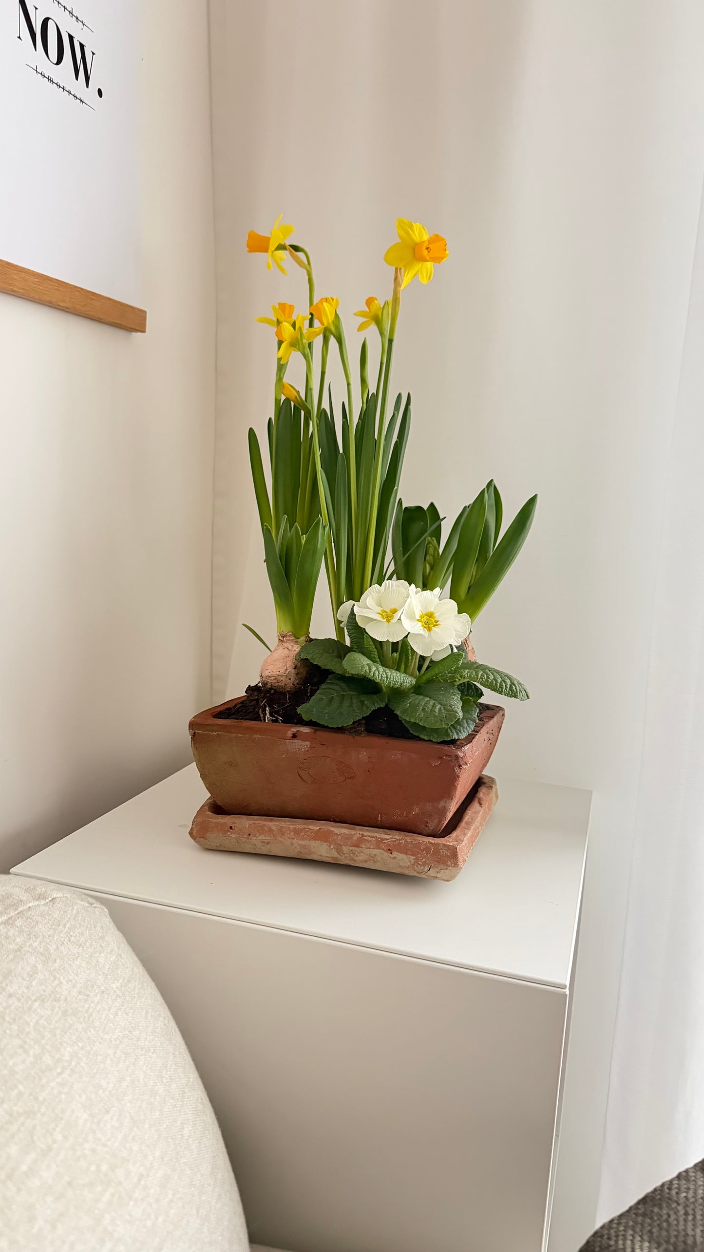 Aged Terracotta Flower Pot- Square