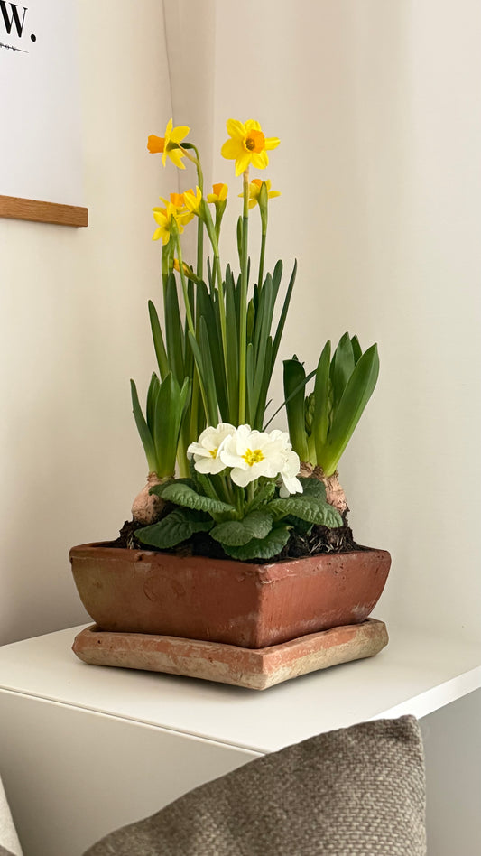 Aged Terracotta Flower Pot- Square