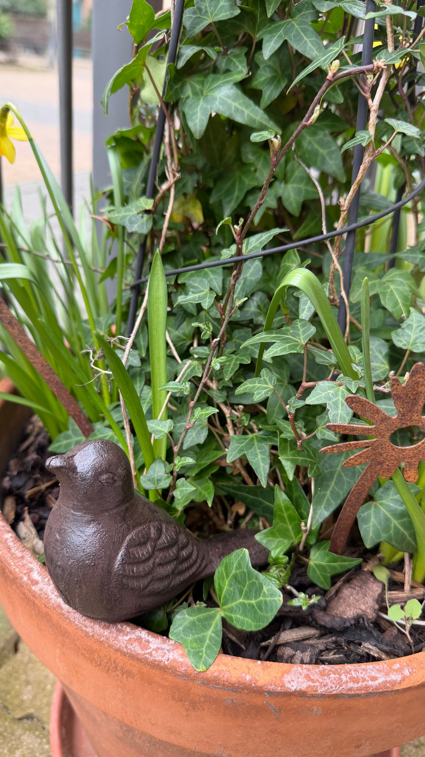Small Cast Iron Animals- Bird, Snail, Bunny, Squirrel, Hedgehog