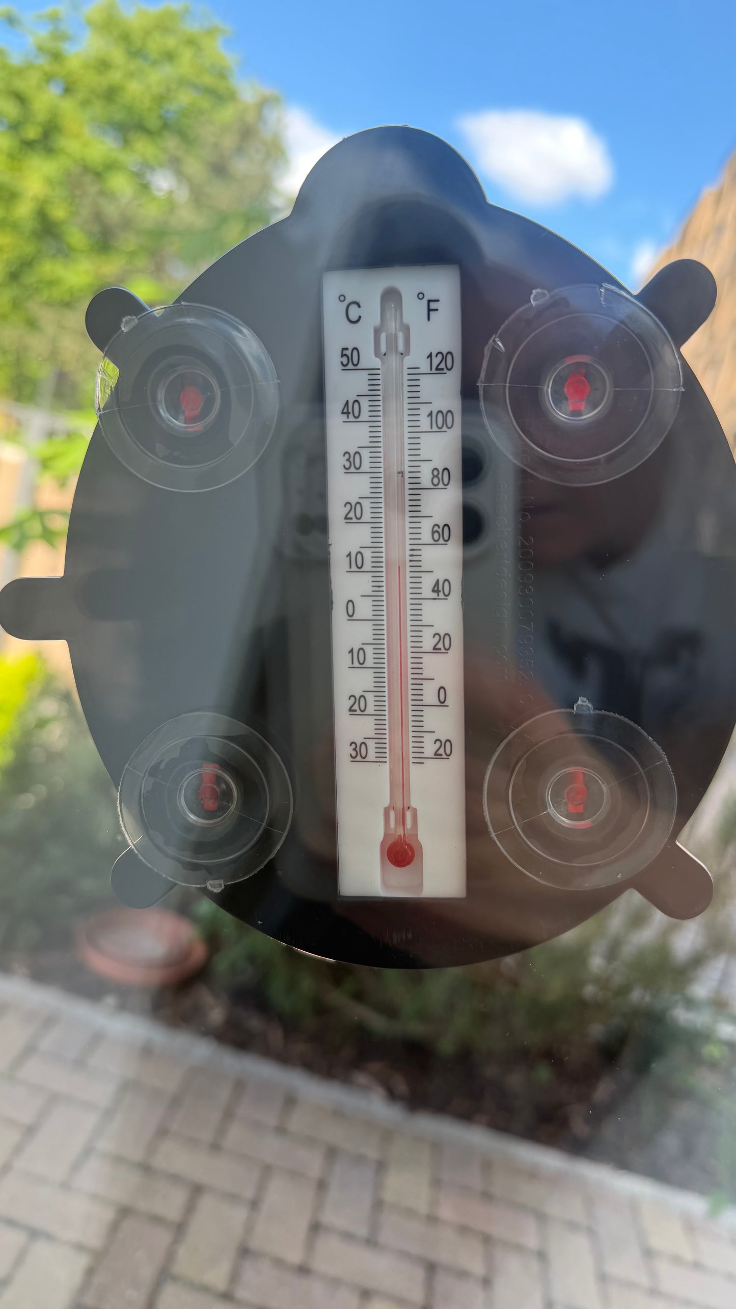 Ladybird Window Thermometer
