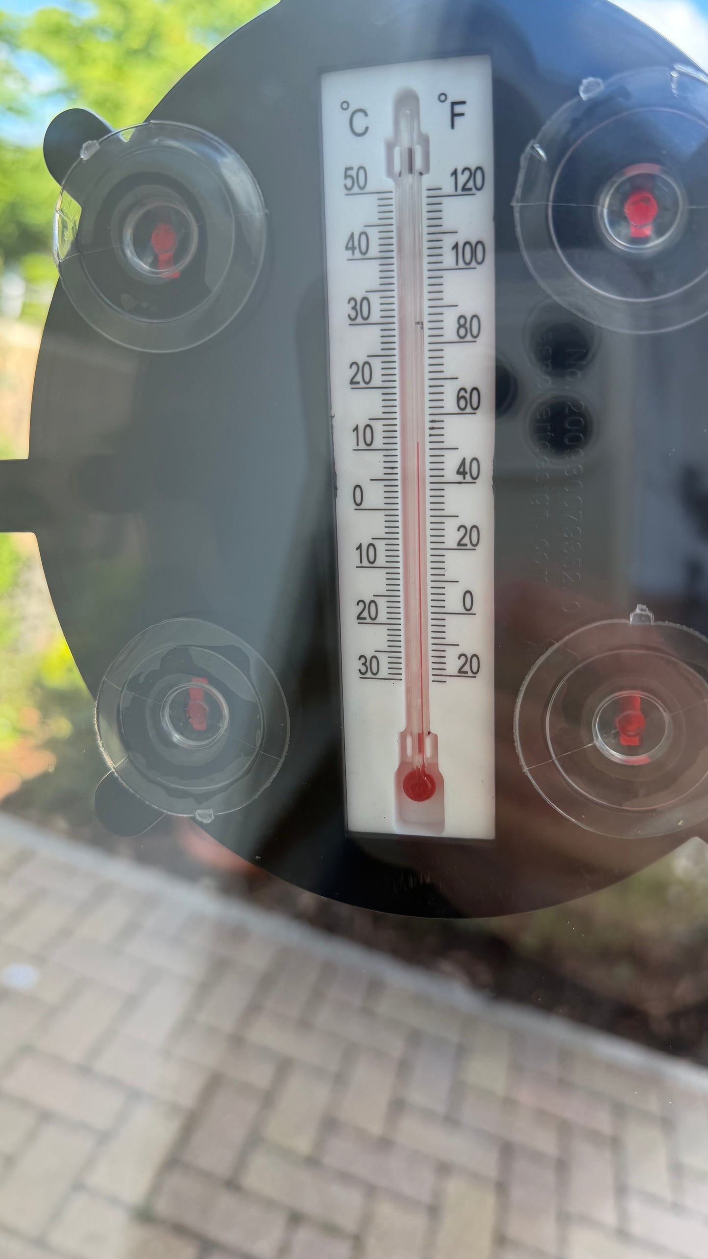 Ladybird Window Thermometer