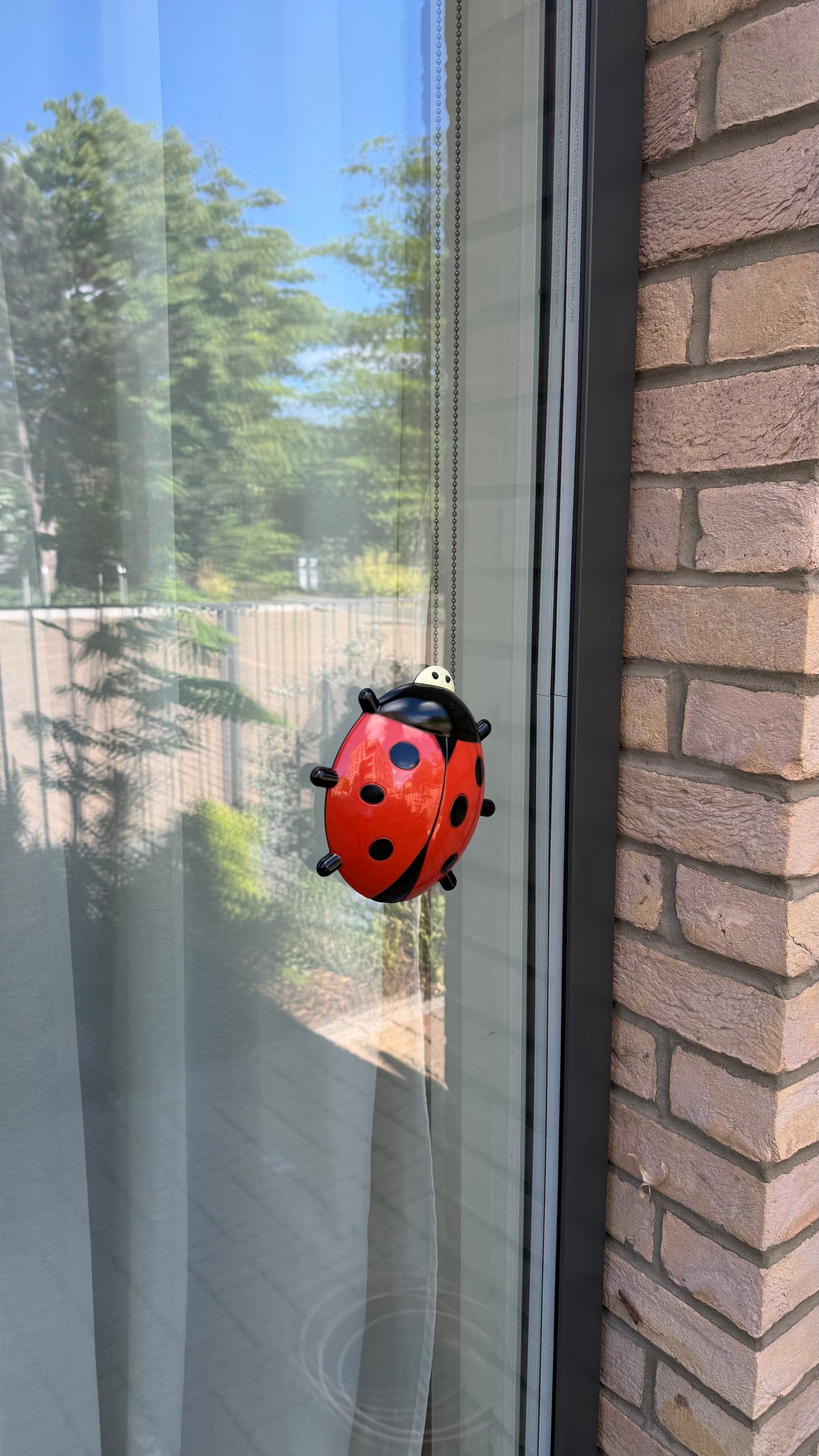 Ladybird Window Thermometer