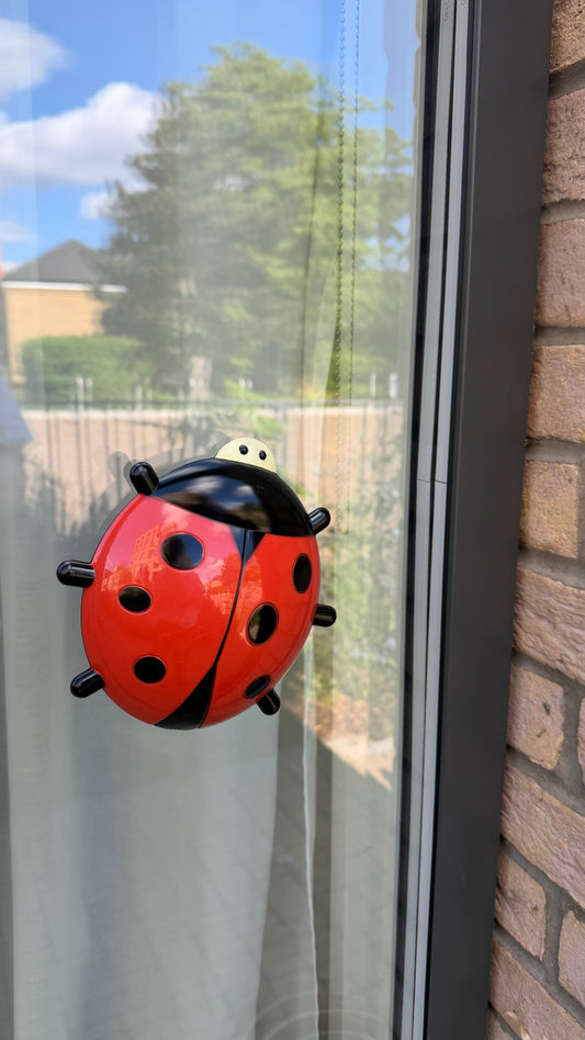 Ladybird Window Thermometer