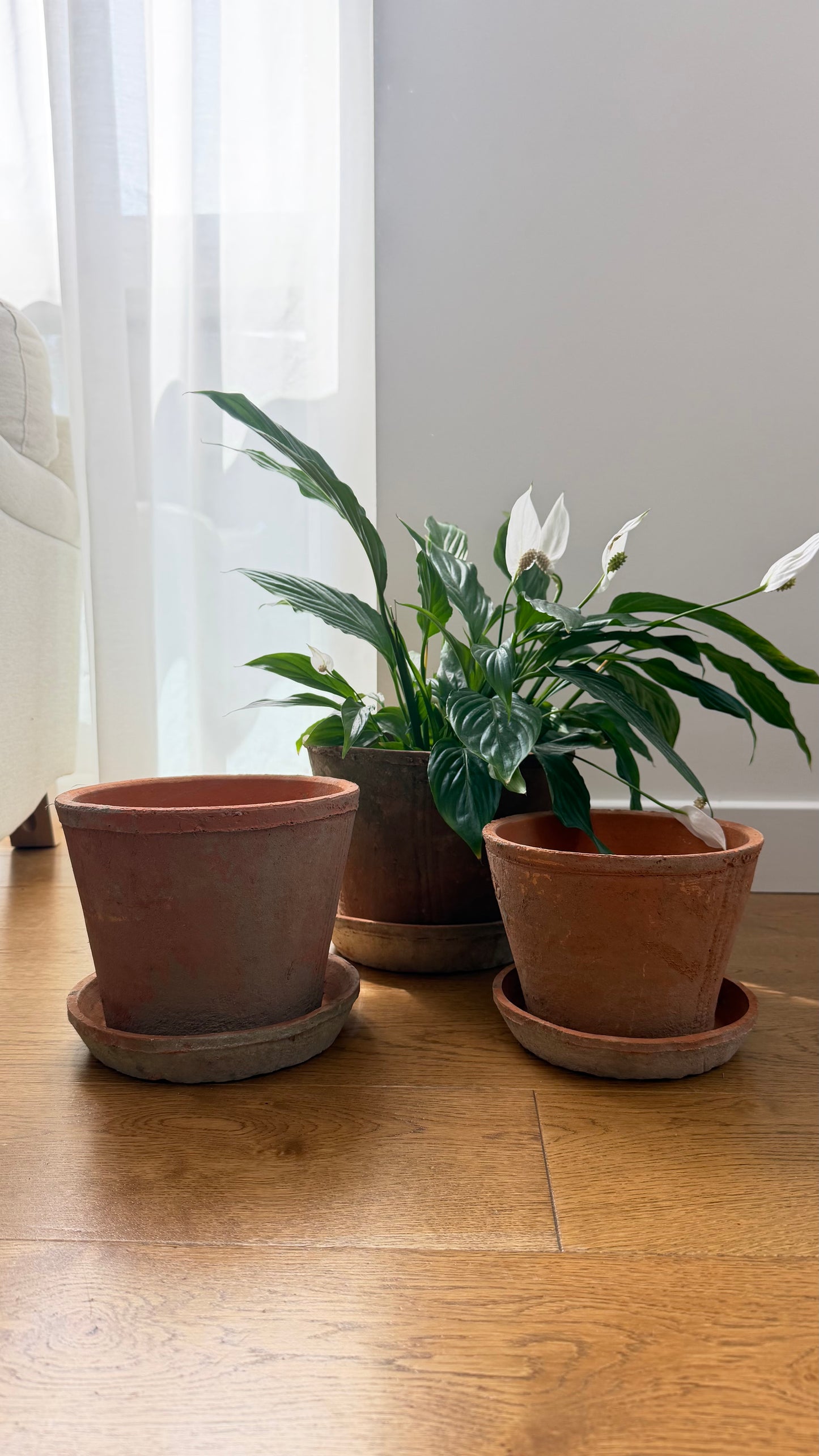 EXTRA LARGE Terracotta Pots
