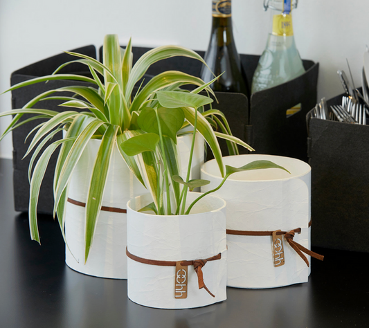 SCANDI FLOWER POTS from Lübech Living