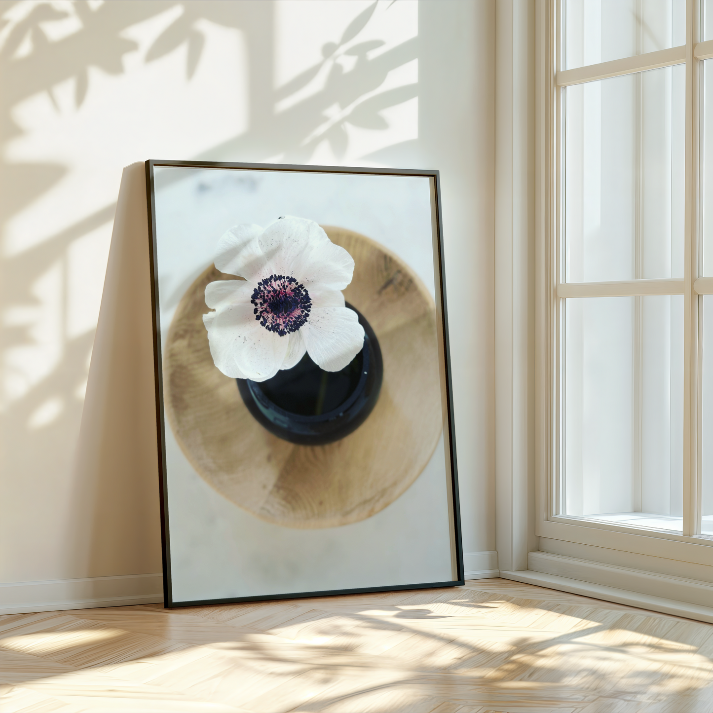 White Anemone in Black Vase Print