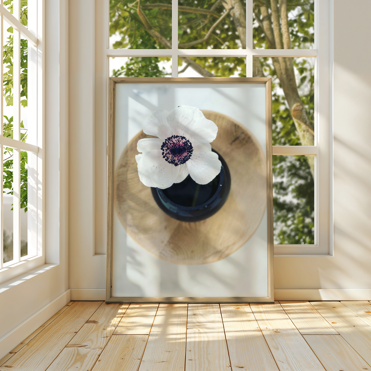 White Anemone in Black Vase Print